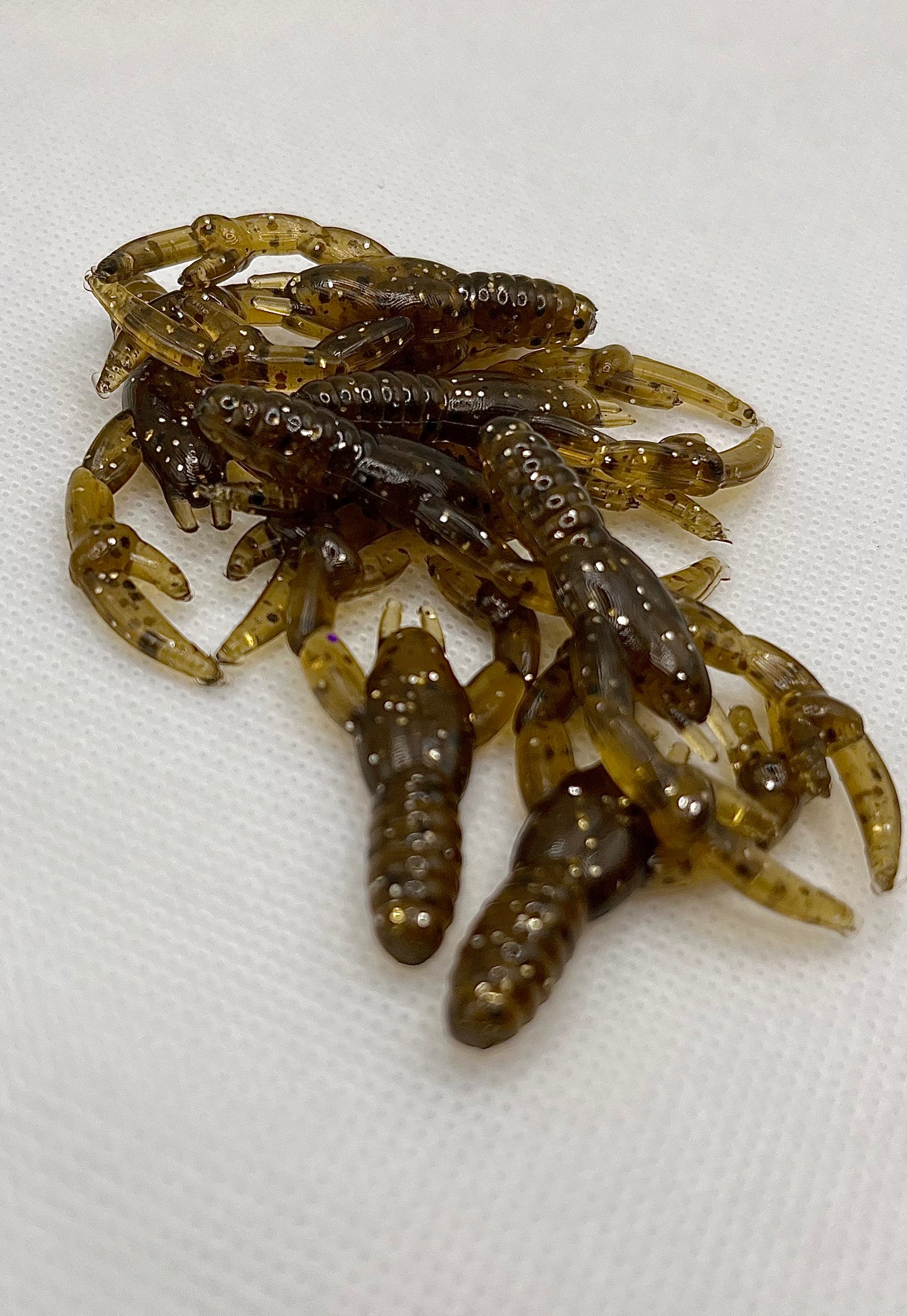 2” Cash In Craws